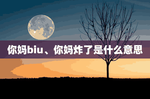 你妈biu、你妈炸了是什么意思